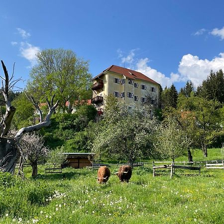 Hotel Landsitz Pichlschloss Neumarkt in Steiermark Eksteriør billede