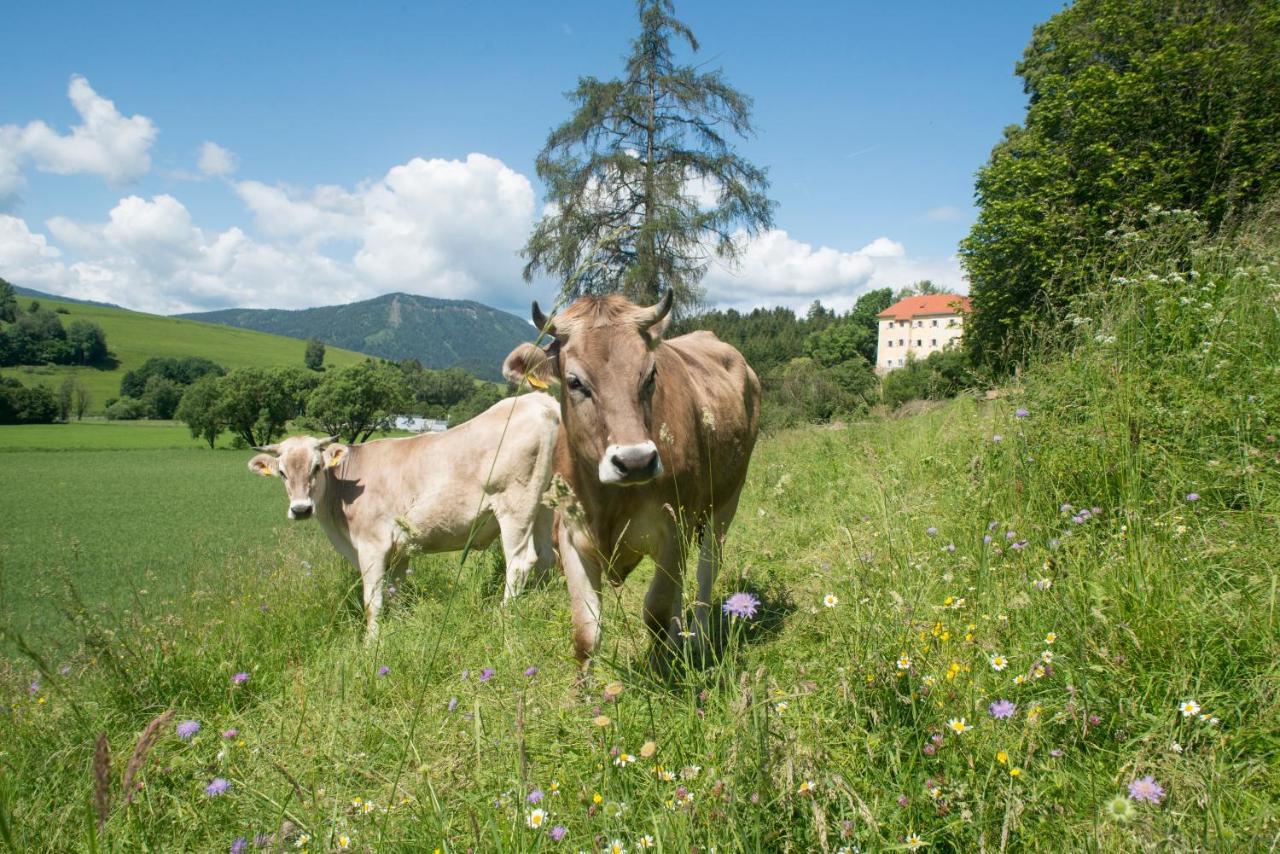 Hotel Landsitz Pichlschloss Neumarkt in Steiermark Eksteriør billede
